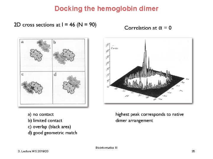Docking the hemoglobin dimer Bioinformatics III 3. Lecture WS 2019/20 35 