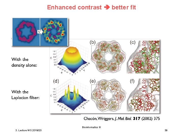 Enhanced contrast better fit Bioinformatics III 3. Lecture WS 2019/20 39 