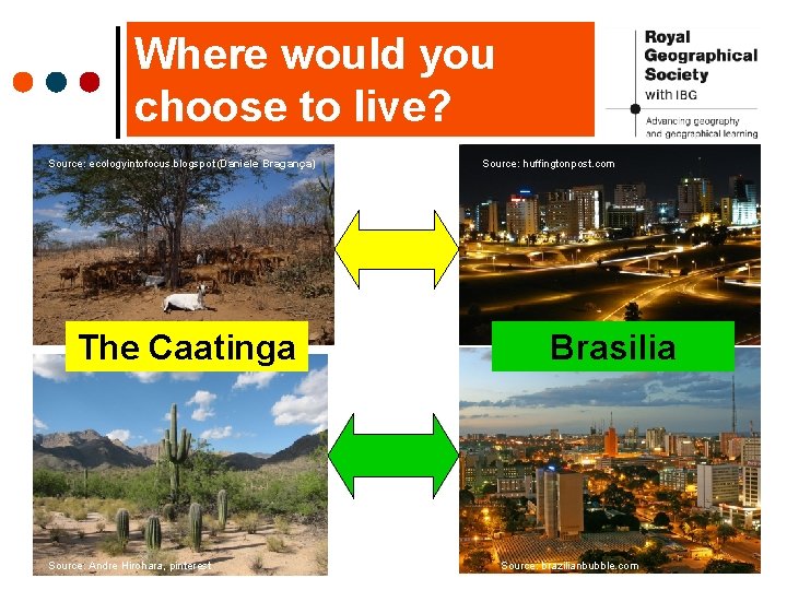 Where would you choose to live? Source: ecologyintofocus. blogspot (Daniele Bragança) The Caatinga Source: