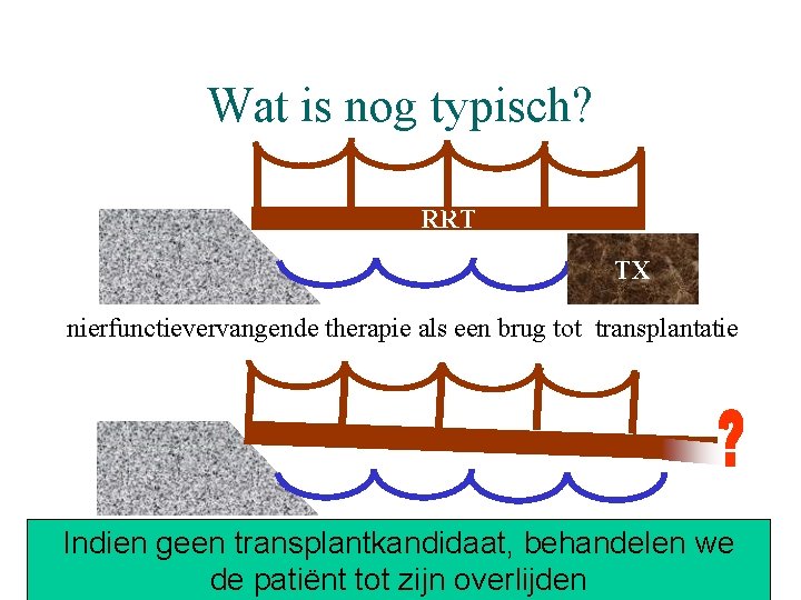 Wat is nog typisch? RRT TX nierfunctievervangende therapie als een brug tot transplantatie dialyse