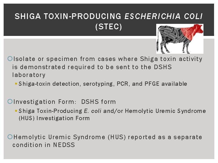 SHIGA TOXIN-PRODUCING ESCHERICHIA COLI (STEC) Isolate or specimen from cases where Shiga toxin activity