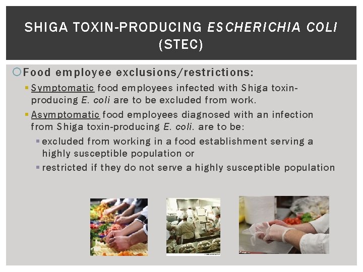 SHIGA TOXIN-PRODUCING ESCHERICHIA COLI (STEC) Food employee exclusions/restrictions: § Symptomatic food employees infected with