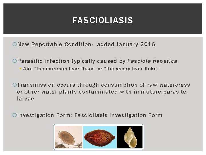 FASCIOLIASIS New Reportable Condition- added January 2016 Parasitic infection typically caused by Fasciola hepatica