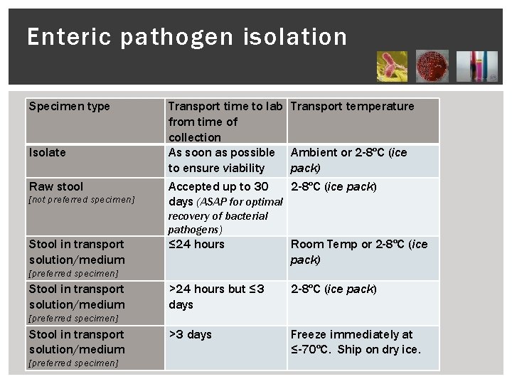 Enteric pathogen isolation Specimen type Isolate Raw stool [not preferred specimen] Transport time to