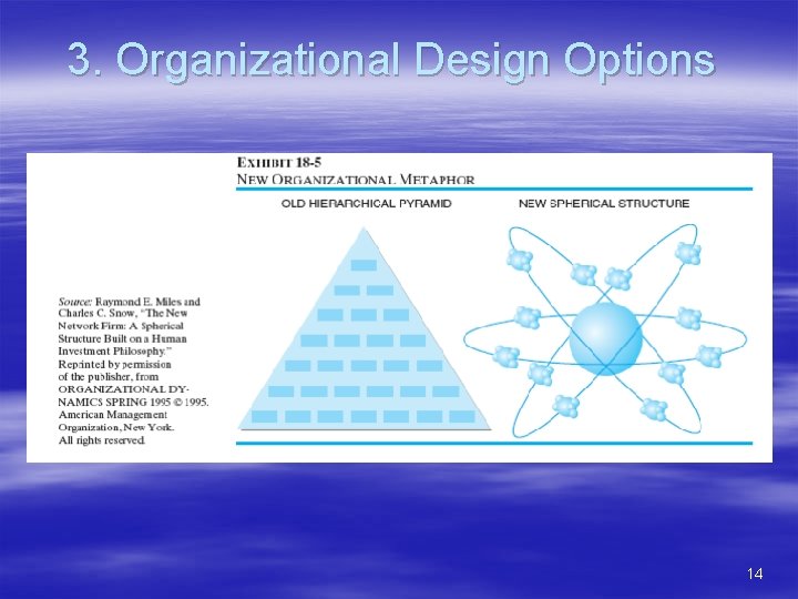3. Organizational Design Options 14 