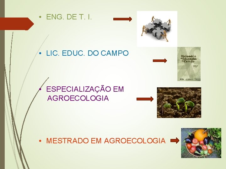  • ENG. DE T. I. • LIC. EDUC. DO CAMPO • ESPECIALIZAÇÃO EM