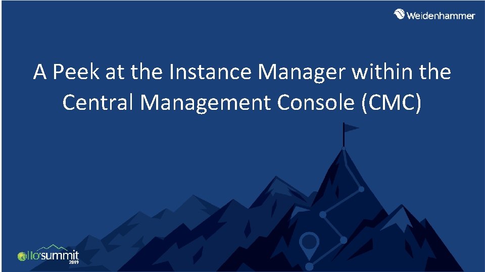 A Peek at the Instance Manager within the Central Management Console (CMC) 
