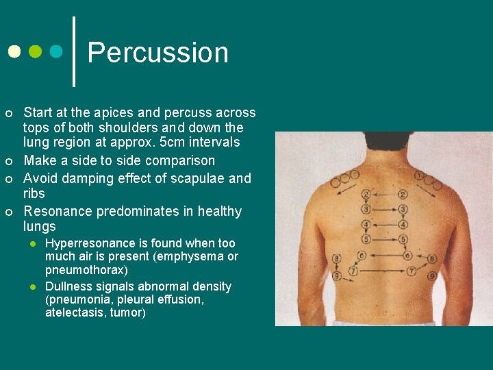 Percussion ¢ ¢ Start at the apices and percuss across tops of both shoulders