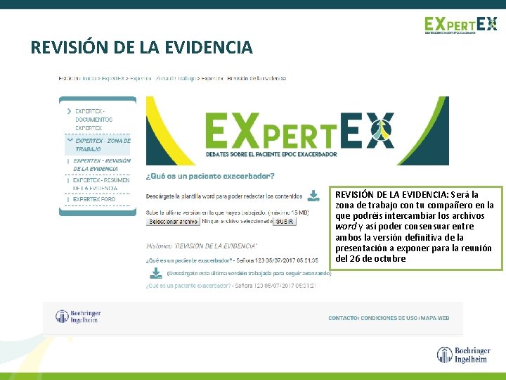 REVISIÓN DE LA EVIDENCIA: Será la zona de trabajo con tu compañero en la