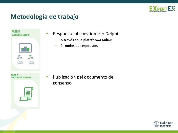 Metodología de trabajo • Respuesta al cuestionario Delphi – A través de la plataforma