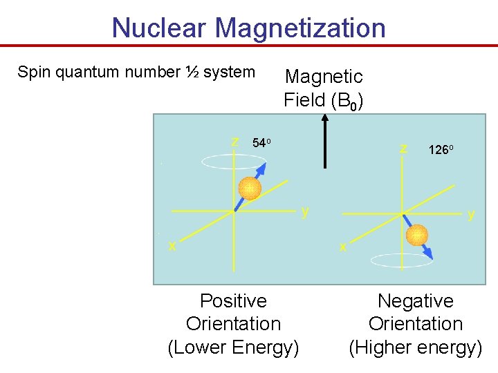 Nuclear Magnetization Spin quantum number ½ system Magnetic Field (B 0) 54 o Positive
