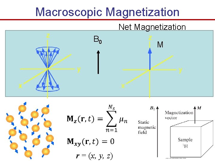 Macroscopic Magnetization Net Magnetization B 0 r = (x, y, z) M 