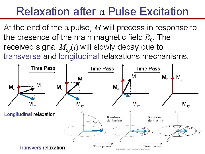 Relaxation after α Pulse Excitation At the end of the α pulse, M will