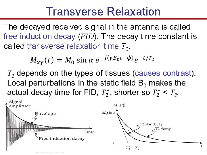 Transverse Relaxation The decayed received signal in the antenna is called free induction decay