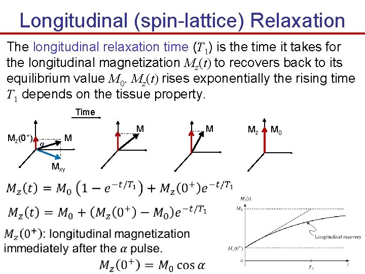 Longitudinal (spin-lattice) Relaxation The longitudinal relaxation time (T 1) is the time it takes