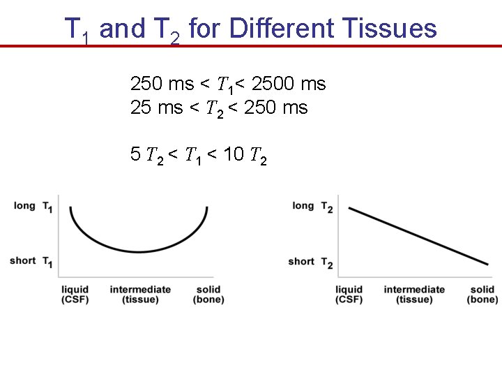 T 1 and T 2 for Different Tissues 250 ms < T 1< 2500