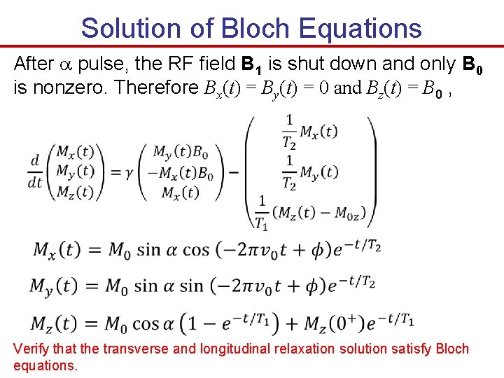 Solution of Bloch Equations After pulse, the RF field B 1 is shut down