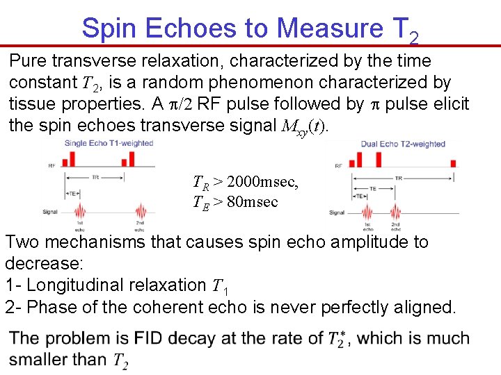 Spin Echoes to Measure T 2 Pure transverse relaxation, characterized by the time constant
