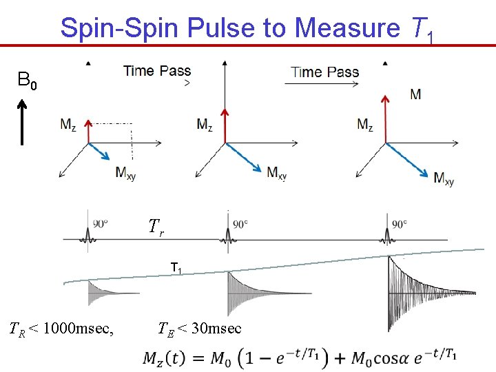Spin-Spin Pulse to Measure T 1 B 0 Tr T 1 TR < 1000
