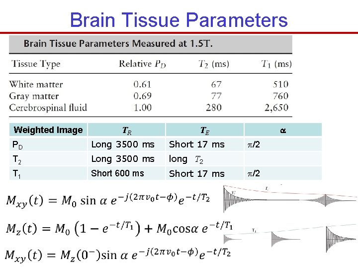 Brain Tissue Parameters Weighted Image TR TE PD Long 3500 ms Short 17 ms