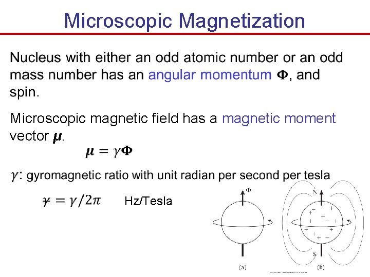 Microscopic Magnetization Microscopic magnetic field has a magnetic moment vector μ. Hz/Tesla 