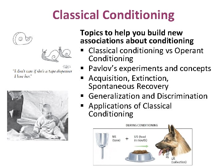 Classical Conditioning Topics to help you build new associations about conditioning § Classical conditioning