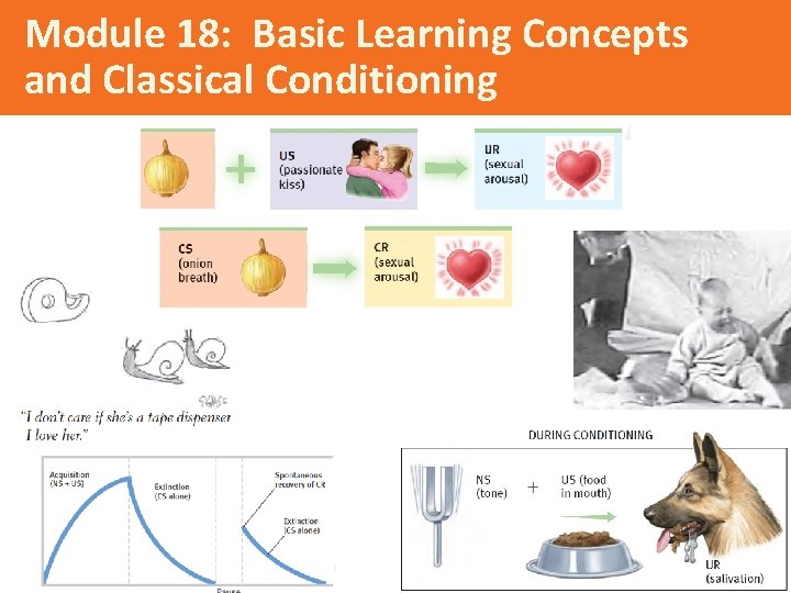 Module 18: Basic Learning Concepts and Classical Conditioning 