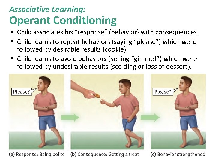 Associative Learning: Operant Conditioning § Child associates his “response” (behavior) with consequences. § Child