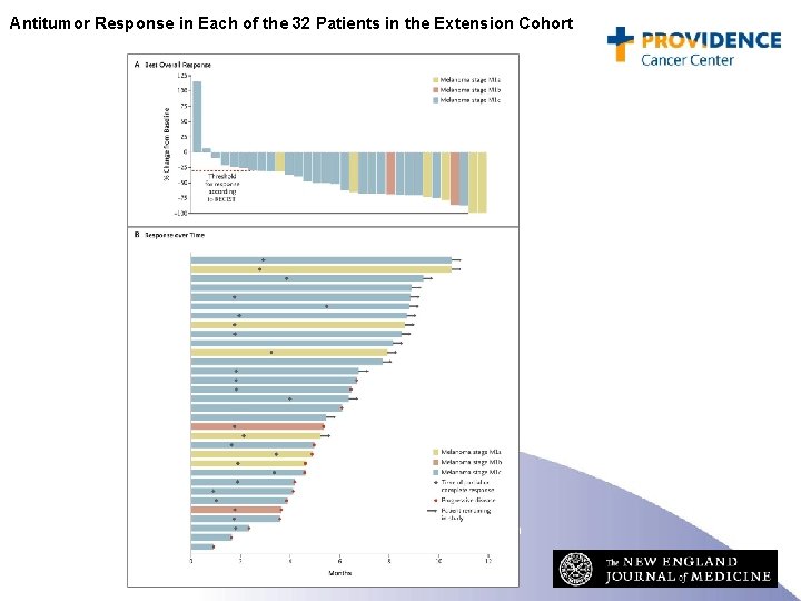 Antitumor Response in Each of the 32 Patients in the Extension Cohort Flaherty KT