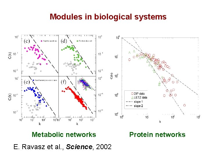Modules in biological systems Metabolic networks E. Ravasz et al. , Science, 2002 Protein