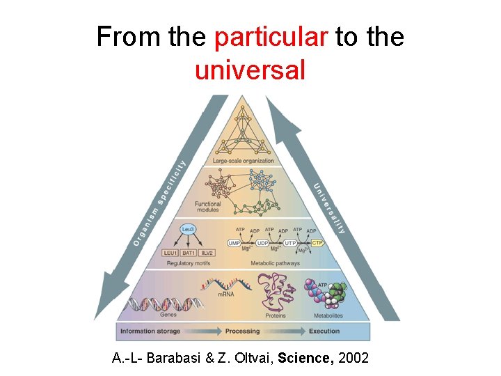 From the particular to the universal A. -L- Barabasi & Z. Oltvai, Science, 2002