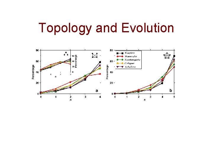 Topology and Evolution 