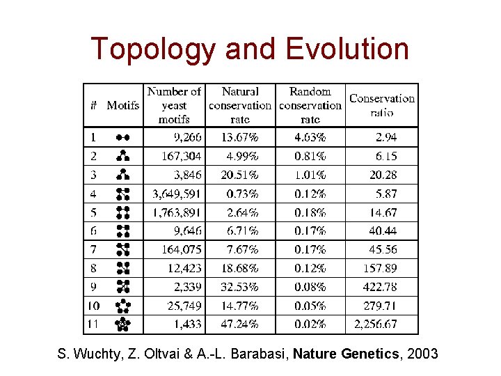 Topology and Evolution S. Wuchty, Z. Oltvai & A. -L. Barabasi, Nature Genetics, 2003