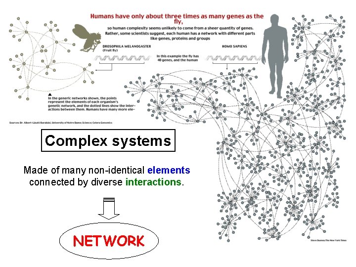 Complex systems Made of many non-identical elements connected by diverse interactions. NETWORK 