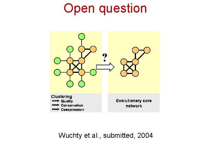 Open question ? ? Wuchty et al. , submitted, 2004 