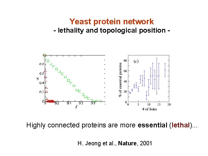 Yeast protein network - lethality and topological position - Highly connected proteins are more