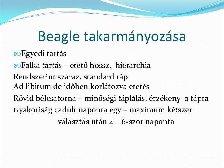 Beagle takarmányozása Egyedi tartás Falka tartás – etető hossz, hierarchia Rendszerint száraz, standard táp