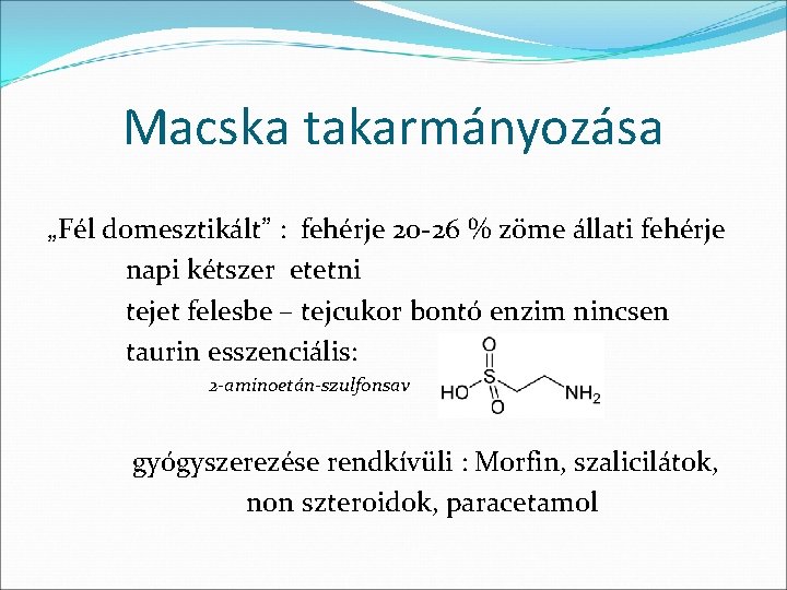 Macska takarmányozása „Fél domesztikált” : fehérje 20 -26 % zöme állati fehérje napi kétszer