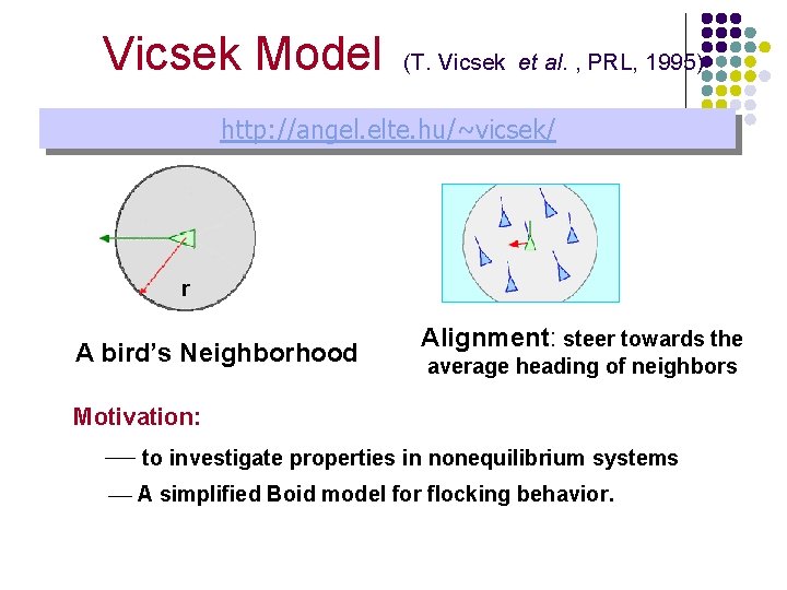 Vicsek Model (T. Vicsek et al. , PRL, 1995) http: //angel. elte. hu/~vicsek/ r