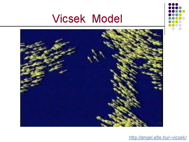 Vicsek Model http: //angel. elte. hu/~vicsek/ 