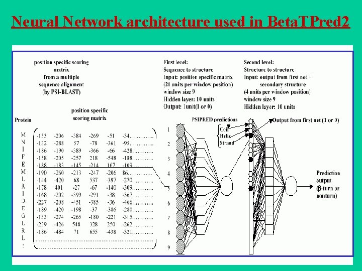 Neural Network architecture used in Beta. TPred 2 