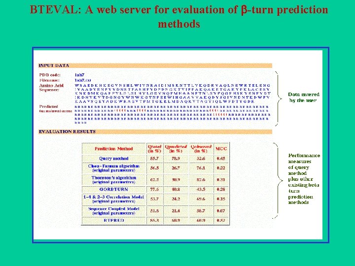 BTEVAL: A web server for evaluation of -turn prediction methods 