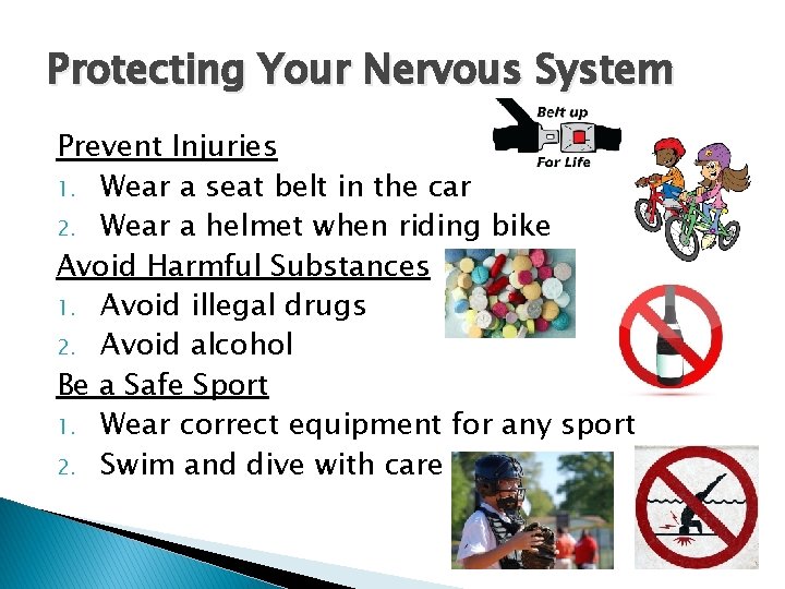Protecting Your Nervous System Prevent Injuries 1. Wear a seat belt in the car
