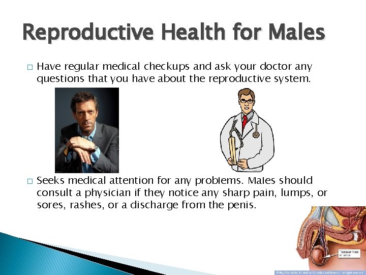 Reproductive Health for Males � � Have regular medical checkups and ask your doctor
