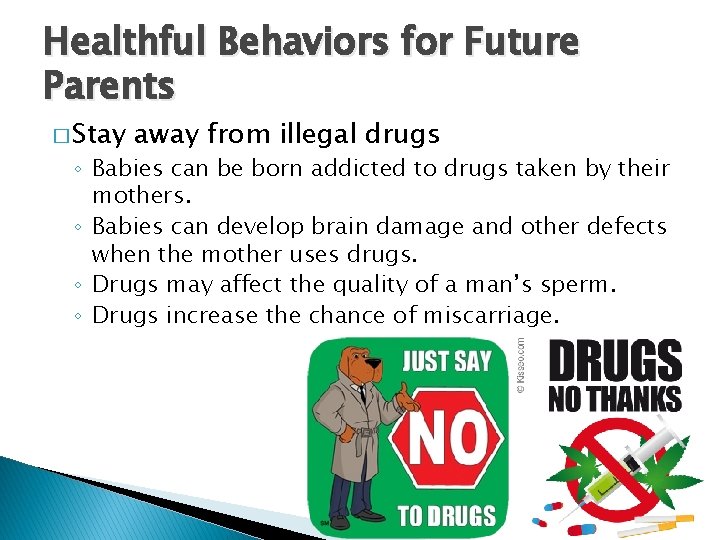 Healthful Behaviors for Future Parents � Stay away from illegal drugs ◦ Babies can