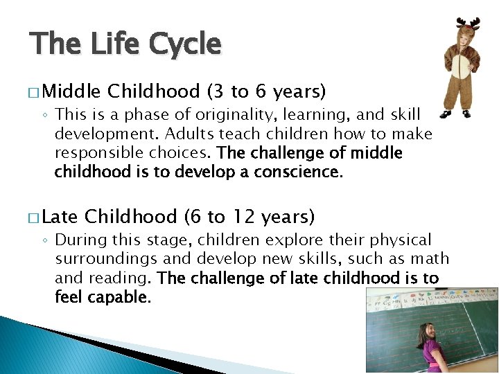 The Life Cycle � Middle Childhood (3 to 6 years) ◦ This is a