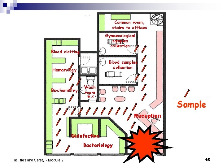 Common room, stairs to offices Gynaecological samples collection Blood clotting Blood samples collection Hematology