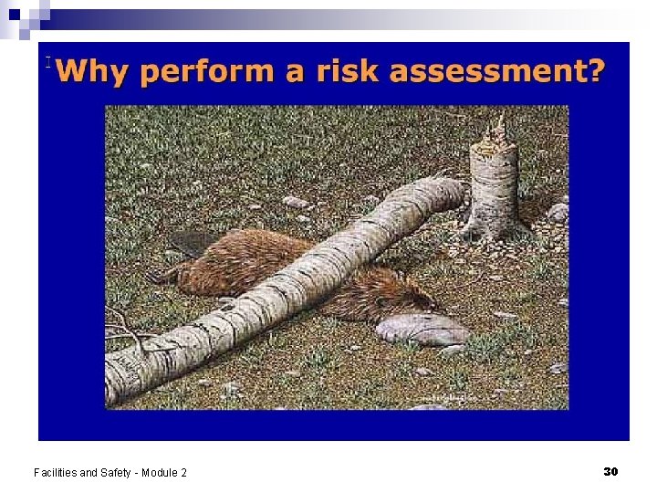 Facilities and Safety - Module 2 30 