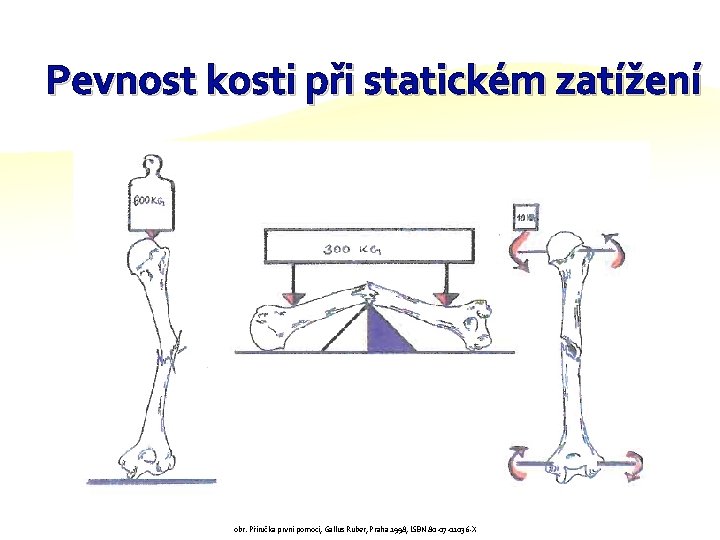 Pevnost kosti při statickém zatížení obr. Příručka první pomoci, Gallus Ruber, Praha 1998, ISBN