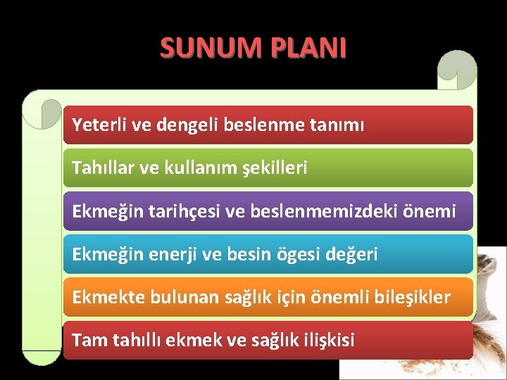 SUNUM PLANI Yeterli ve dengeli beslenme tanımı Tahıllar ve kullanım şekilleri Ekmeğin tarihçesi ve